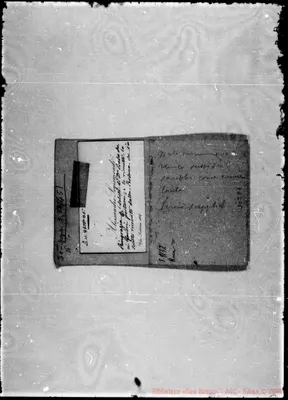 Fotogramma C 4