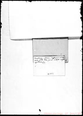 Fotogramma C 5