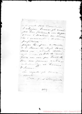 Fotogramma C 9