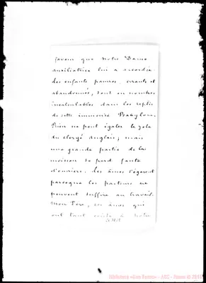 Fotogramma D 10