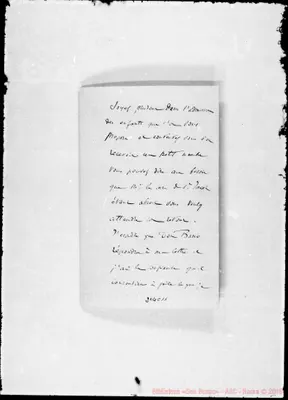 Fotogramma C 11