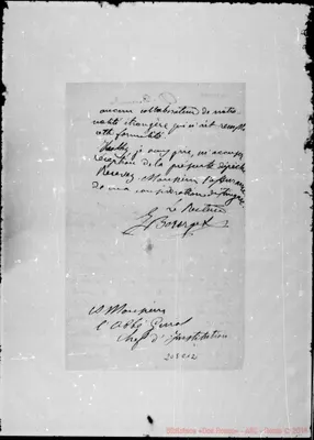 Fotogramma C 12