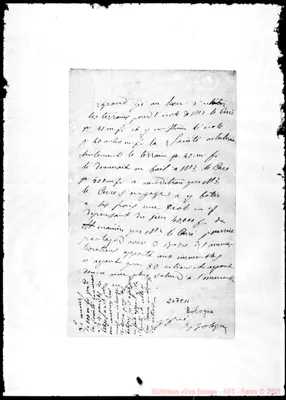 Fotogramma C 11