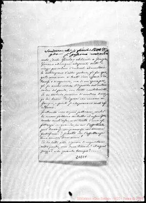Fotogramma C 1
