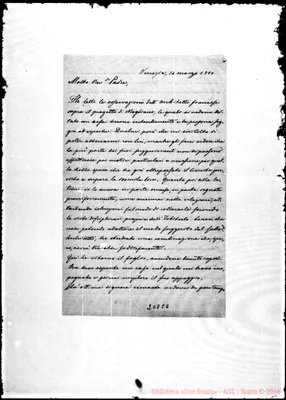 Fotogramma C 6