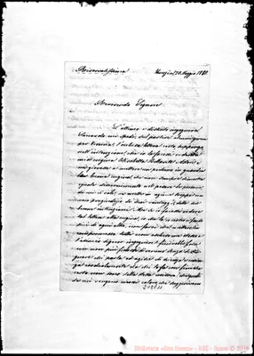 Fotogramma C 11