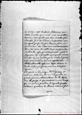 Fotogramma D 6