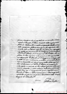 Fotogramma D 11