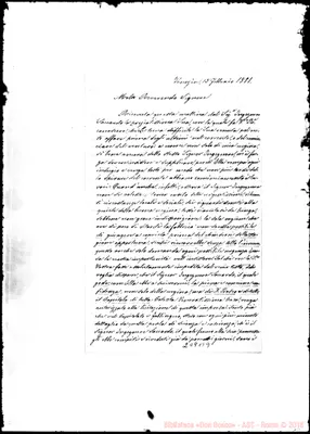 Fotogramma B 9