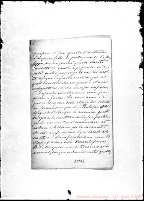 Fotogramma D 5