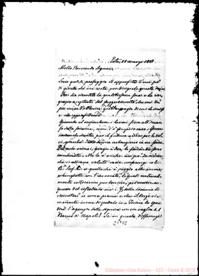 Fotogramma D 8