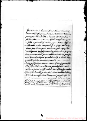 Fotogramma D 11