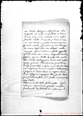 Fotogramma C 7