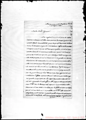 Fotogramma D 11