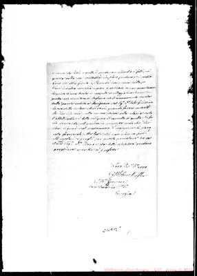 Fotogramma E 12