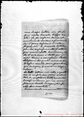 Fotogramma C 11