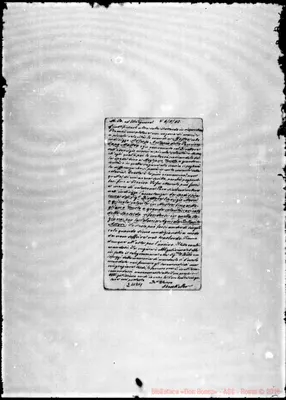 Fotogramma D 11