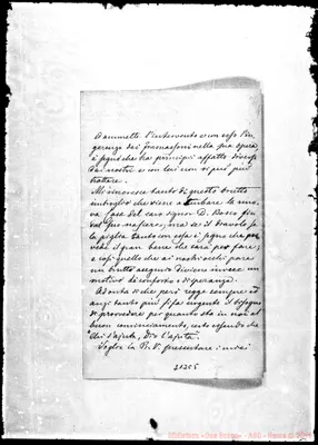 Fotogramma C 5