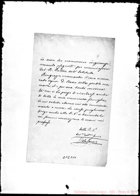 Fotogramma C 11