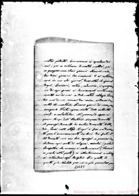 Fotogramma D 5