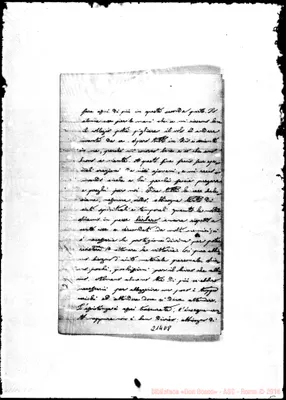 Fotogramma D 8