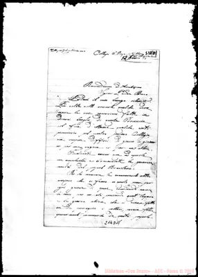 Fotogramma D 11