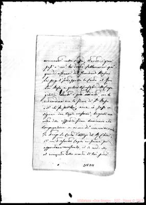 Fotogramma D 11