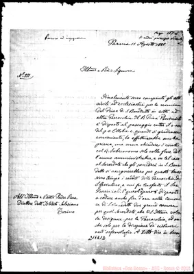 Fotogramma E 12