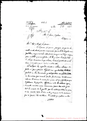 Fotogramma A 11
