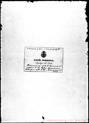 Fotogramma C 8