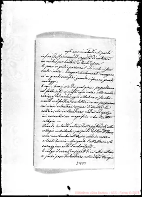 Fotogramma D 5