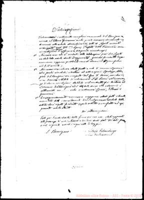 Fotogramma C 11