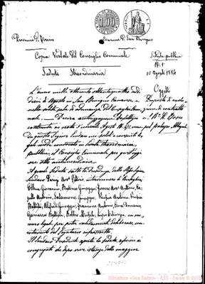 Fotogramma D 12