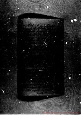 Fotogramma D 4