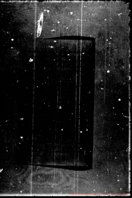 Fotogramma D 5