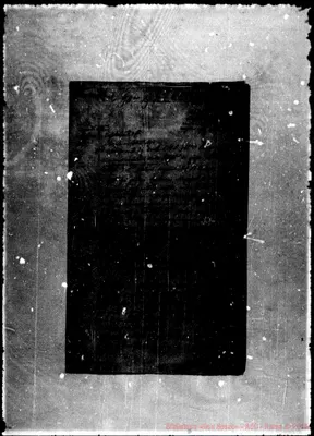 Fotogramma D 6