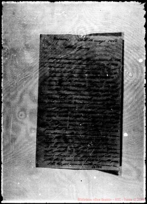 Fotogramma D 11