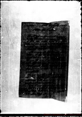 Fotogramma E 6