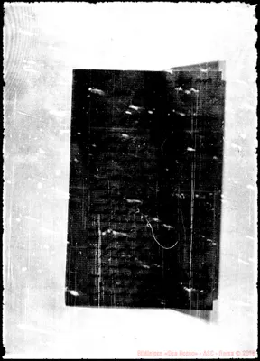 Fotogramma E 8