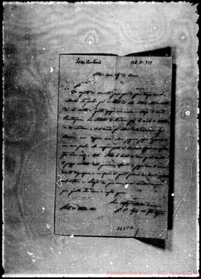 Fotogramma E 10