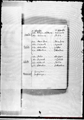 Fotogramma C 1