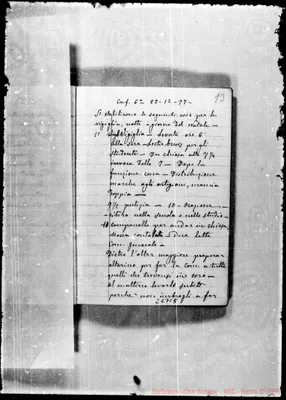 Fotogramma C 5