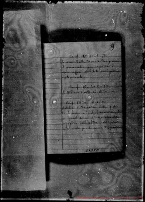 Fotogramma C 11
