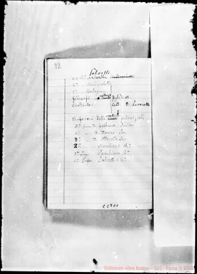 Fotogramma D 1