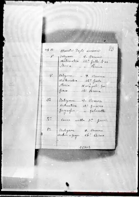 Fotogramma D 2