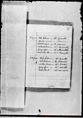 Fotogramma D 9