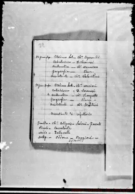 Fotogramma D 10
