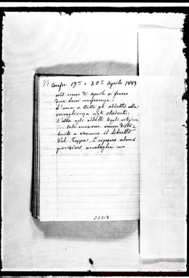 Fotogramma C 7