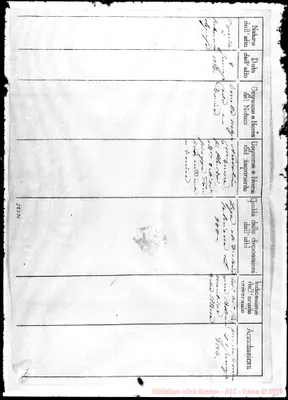 Fotogramma D 1