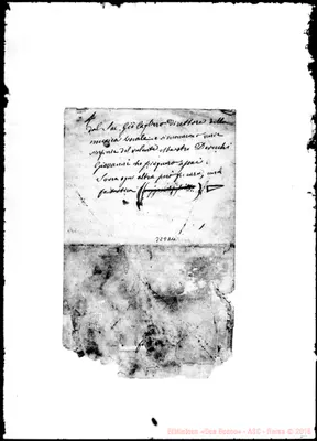 Fotogramma D 11
